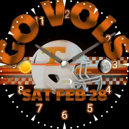 Vols Helmet