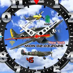WW2 Fighter 1.06