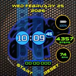 DBEARARTS watch publish 1