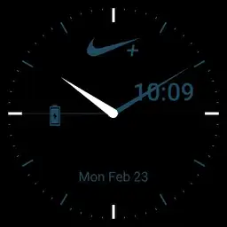 Nike BlueGrey