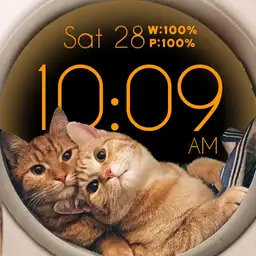 Kitty Love