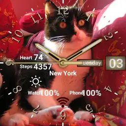 Felix da Housecat