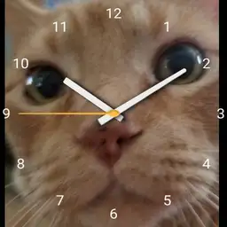 JoeCat Watch