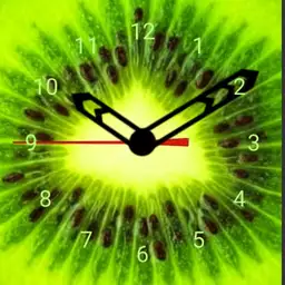 Kiwi time
