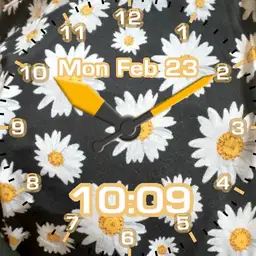 daisy