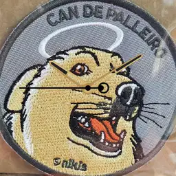 Can de Palleiro