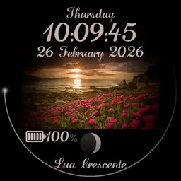 WatchFace_crfa_013