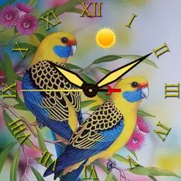 Beautiful birds