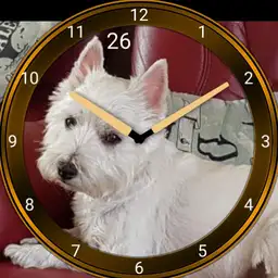 billpup