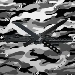 Militr