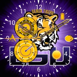 LSU Fan Copy
