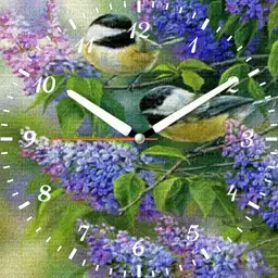 Birds for Lucy 3