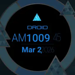 Detroid Copy
