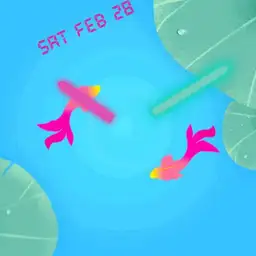Koi