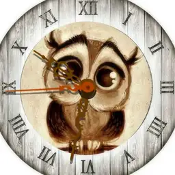 Owl Watch Copy