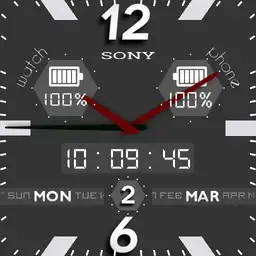 Sony analog