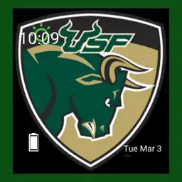 USF BULLS