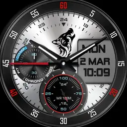 multi watch