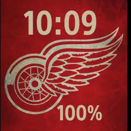 Detroit Redwings
