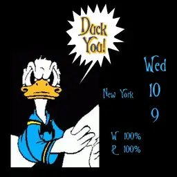 Duck You