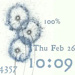Make a Wish