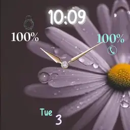 dexcom elegant daisy