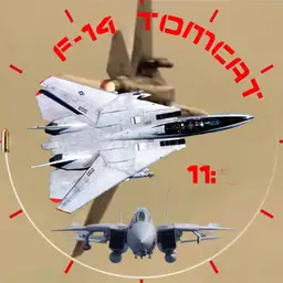 F-14 Tomcat v2