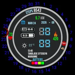 Watch - 31