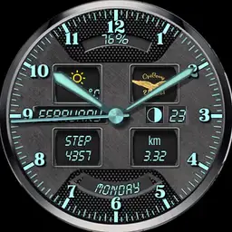 0698