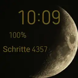 The moon