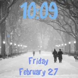 Winter Walk