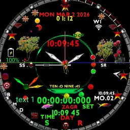 expensive start clock MKxz Copy