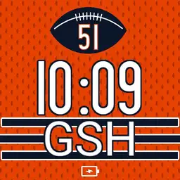 Bears Jersey Alternate Home 2 Copy
