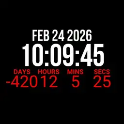 countdown to 2025