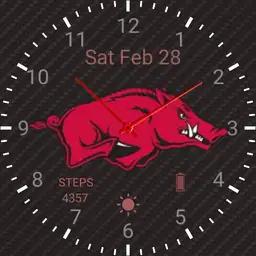 Arkansas Razorbacks red