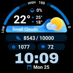 PRADO 96 Weather
