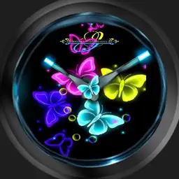 Butterfly Neo