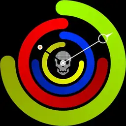 Skull and colors watch