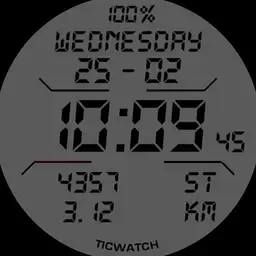 Ticwatch Pro 3 Essential colors