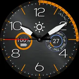 Pilot Watch Grey