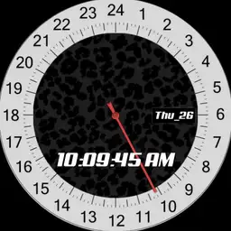 24 hour analog and digital mixed