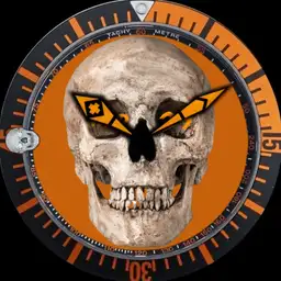 WDS HALLOWEEN SKULL