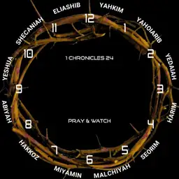 Wall Clock Simple - Crown of Thorns