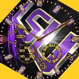 LSU Fan #2
