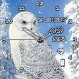 brit White owl