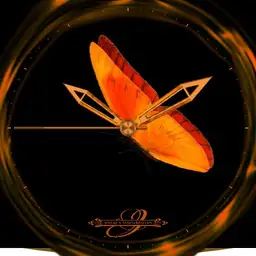 Butterfly Orange Animation