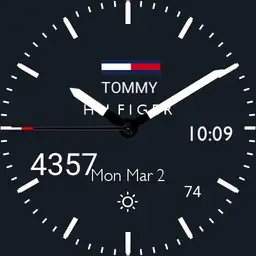 Tommy Hilfiger x Mercedes AMG Copy