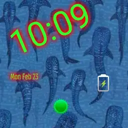 Whale Shark