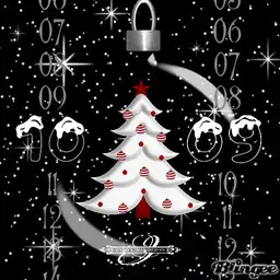 Snowglobe Animation