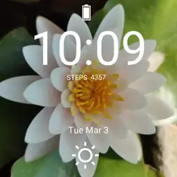 flower